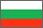 Bulgarian Flag