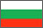 Bulgarian Flag